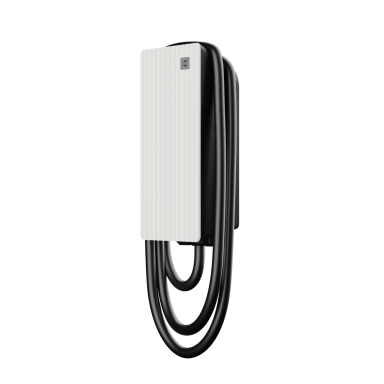 Teltonika elektromobilių krovimo stotelė - 7,4kW, 1F su Type 2 laidu